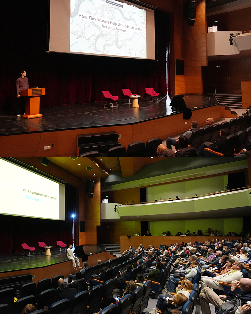 260203 Seizing the Moment 06