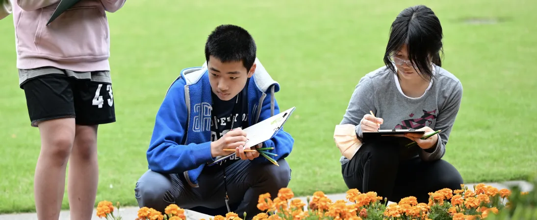 Banner Image 1